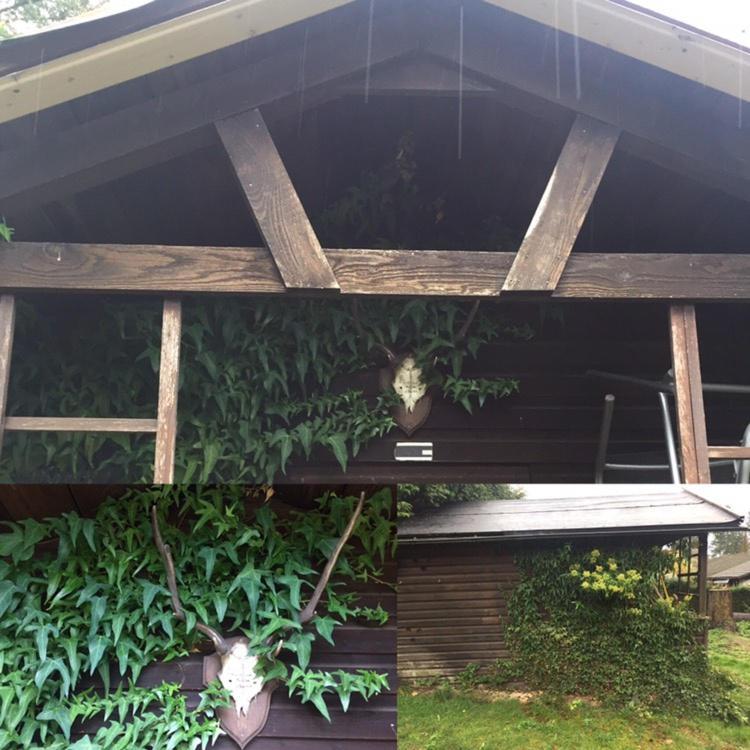 Vila Ferienhaus Braunfels Exteriér fotografie