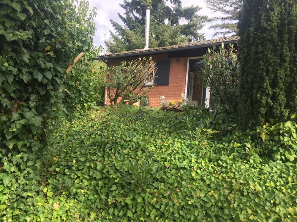 Vila Ferienhaus Braunfels Exteriér fotografie